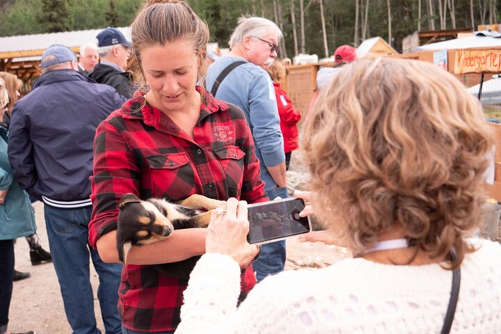 Wild Adventure Yukon Tour till Kanada inklusive City och Summit
