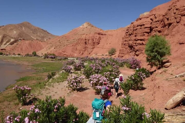 Senderismo por el Valle de las Rosas y el Dades, Marruecos