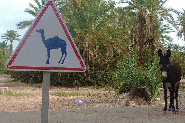 Senderismo por el Valle de las Rosas y el Dades, Marruecos