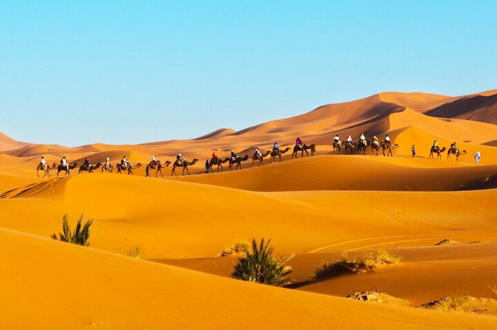 Exclusieve Merzouga Desert Safari: Kamelentocht, zandsurfen & diner
