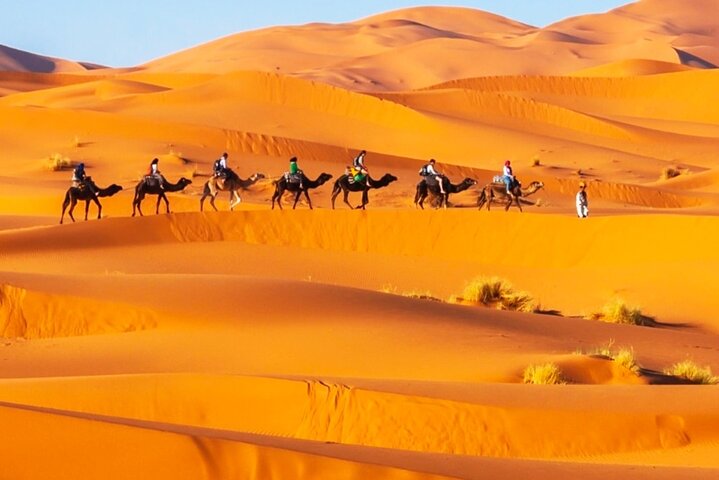 Exclusieve Merzouga Desert Safari: Kamelentocht, zandsurfen & diner