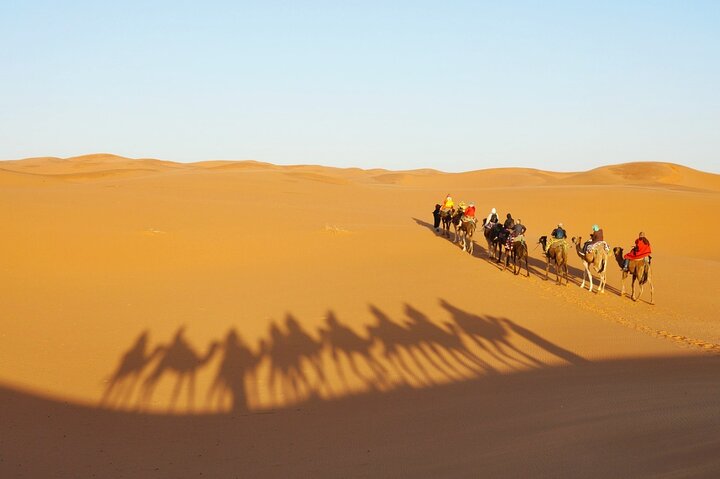 Exclusieve Merzouga Desert Safari: Kamelentocht, zandsurfen & diner