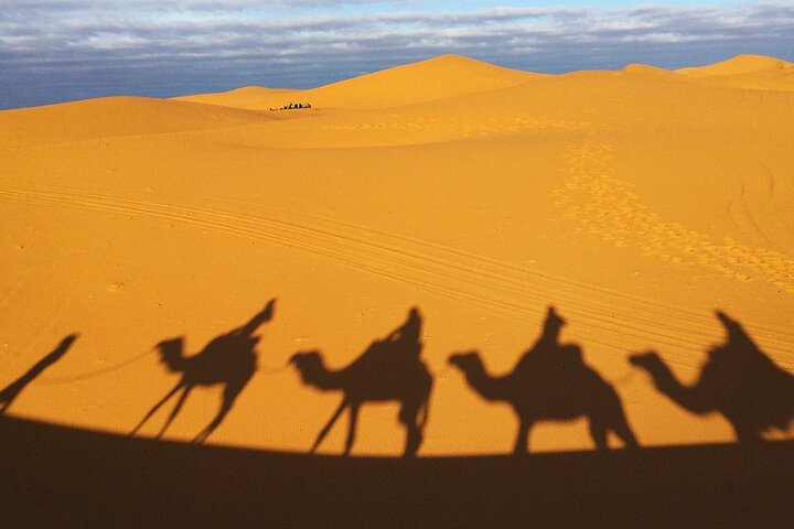Exclusieve Merzouga Desert Safari: Kamelentocht, zandsurfen & diner