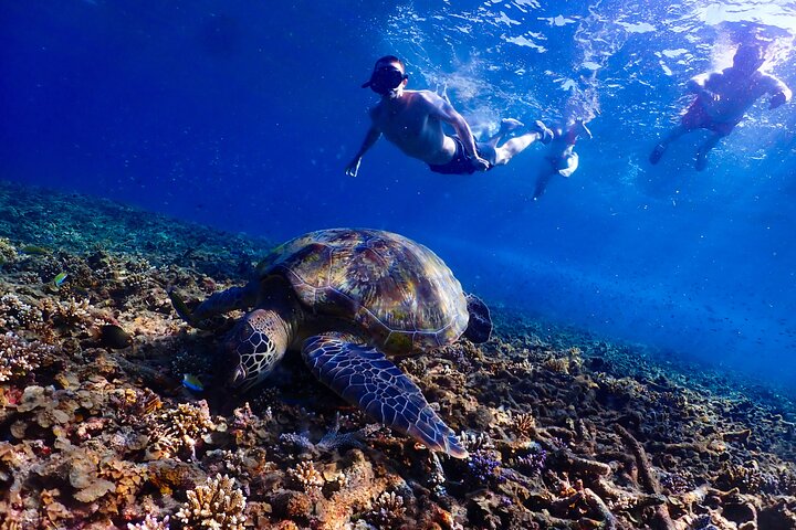 5 eilanden-dagtour rond Koh Tao en Koh Nangyuan