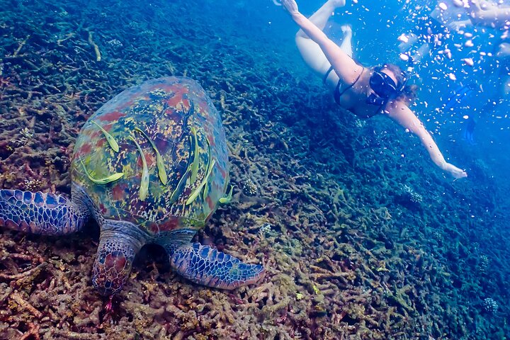 5 eilanden-dagtour rond Koh Tao en Koh Nangyuan
