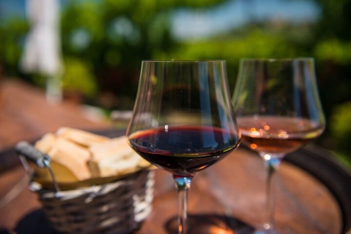 Vanuit Verona : Valpolicella & Amarone-wijnervaring van een halve dag