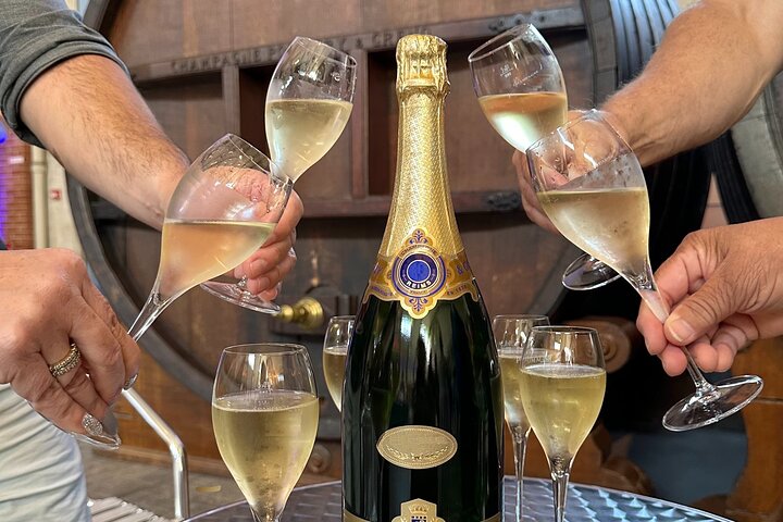 Excursion d'une journée au Champagne au départ de Reims avec 9 dégustations de Champagne