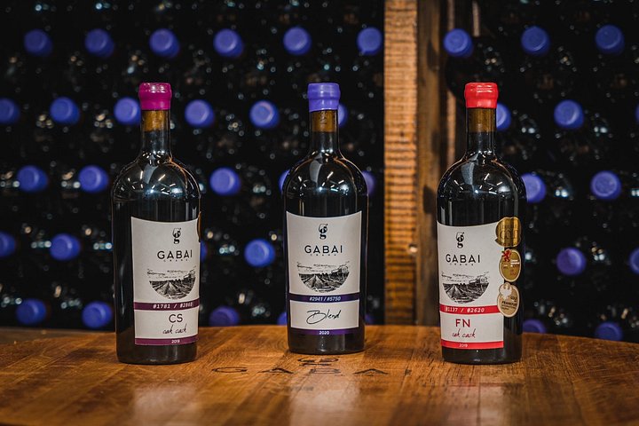 Desvendando a essência: os cativantes passeios de vinho da vinícola Gabai