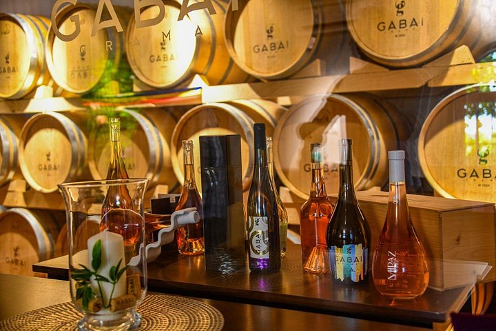 Desvendando a essência: os cativantes passeios de vinho da vinícola Gabai