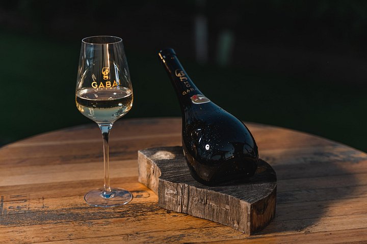 Desvendando a essência: os cativantes passeios de vinho da vinícola Gabai