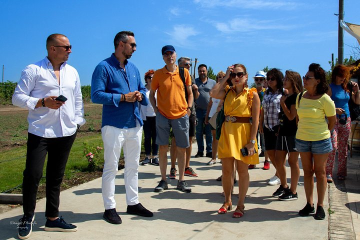 Desvendando a essência: os cativantes passeios de vinho da vinícola Gabai