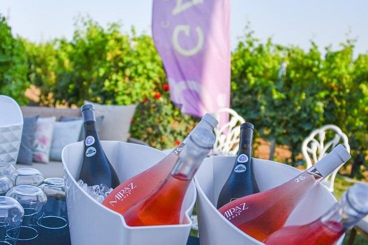 Desvendando a essência: os cativantes passeios de vinho da vinícola Gabai