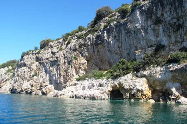 Excursion privée d'une demi-journée en bateau sur l'île Plavnik avec le capitaine. Bobo