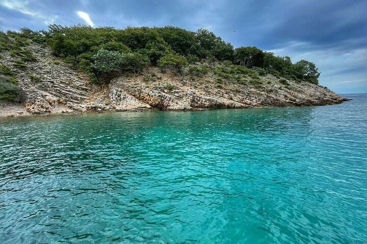 Excursion privée d'une demi-journée en bateau sur l'île Plavnik avec le capitaine. Bobo