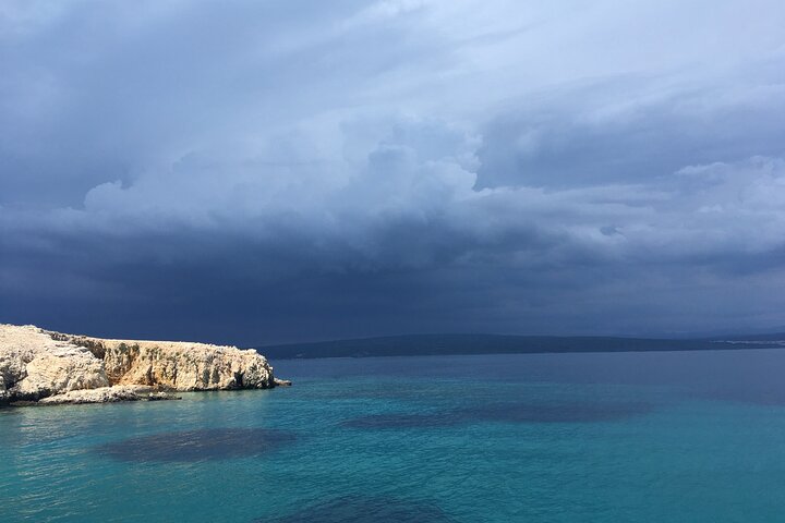 Excursion privée d'une demi-journée en bateau sur l'île Plavnik avec le capitaine. Bobo