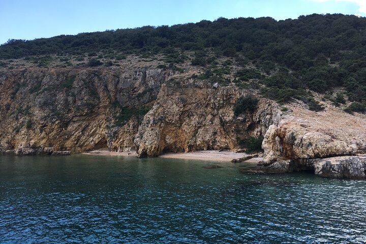 Excursion privée d'une demi-journée en bateau sur l'île Plavnik avec le capitaine. Bobo