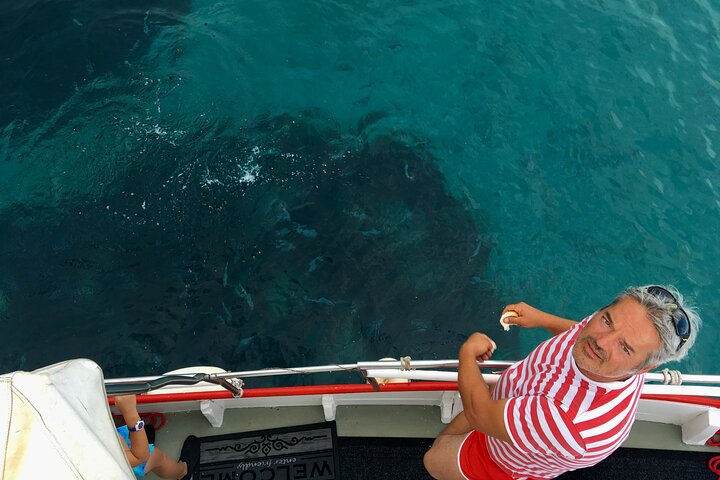 Excursion privée d'une demi-journée en bateau sur l'île Plavnik avec le capitaine. Bobo