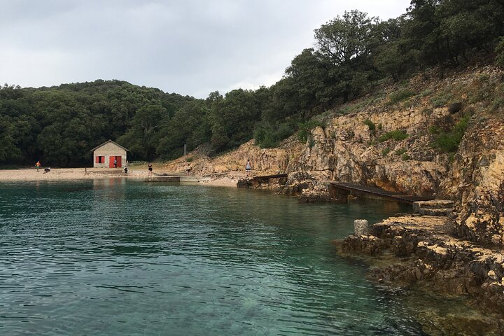 Excursion privée d'une demi-journée en bateau sur l'île Plavnik avec le capitaine. Bobo