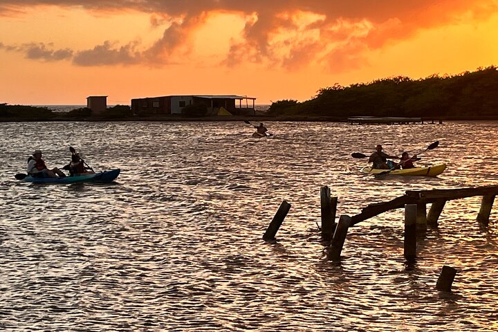 Tour en kayak por la isla de cristal marino
