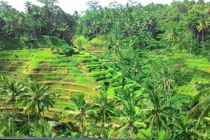 Bali Shore Utflykt från Benoa Port – All-Inclusive privat tur