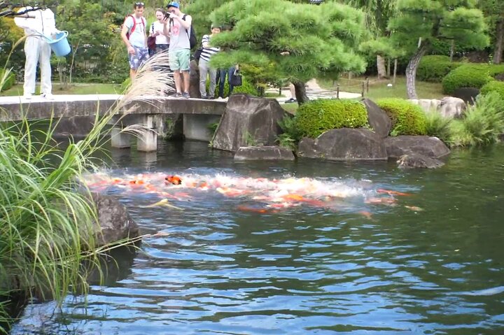 Himeji Castle Easy Bike Tour : Samurai Geschichte, Garten & Matcha