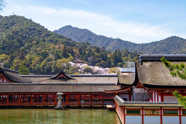 Hiroshima & Miyajima Tour From Hiroshima, Osaka, Kyoto, Fukuoka