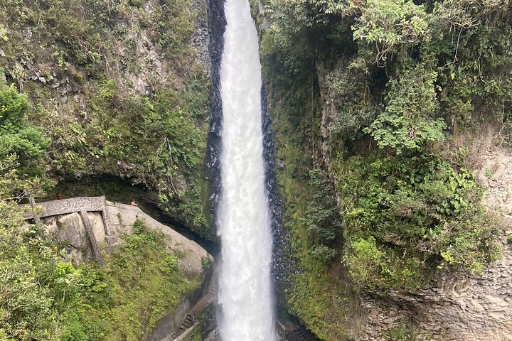 Tour Privado Ruta de las cascadas y casa del árbol