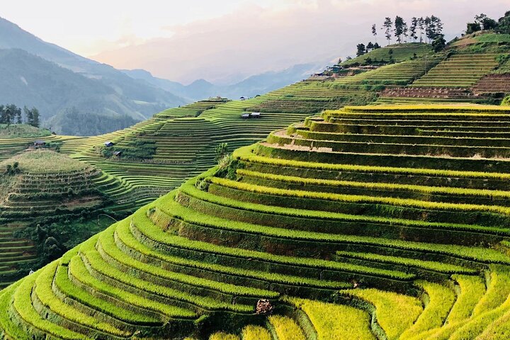 Privétour van een hele dag in Sapa met de auto