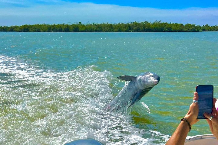 Recorrido ecológico por la playa en barco con manatíes, delfines y 10 000 islas