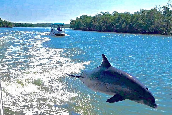 Recorrido ecológico por la playa en barco con manatíes, delfines y 10 000 islas