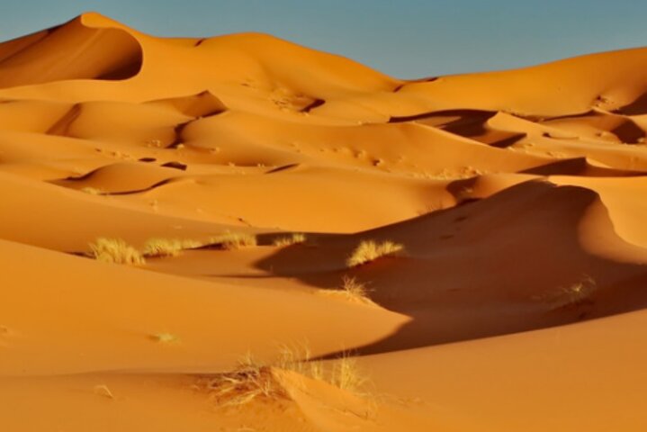 Exclusieve Merzouga Desert Safari: Kamelentocht, zandsurfen & diner