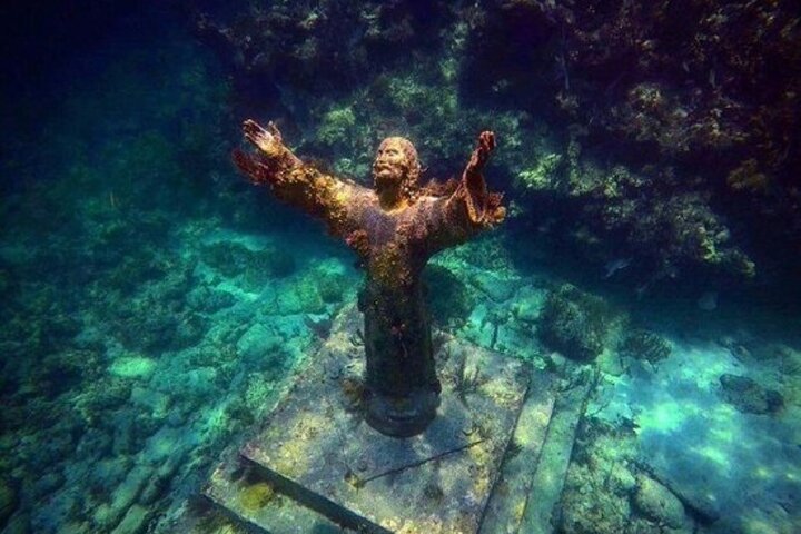 Halbtägige private Tour zum Islamorada Alligator Reef und zur Sandbank