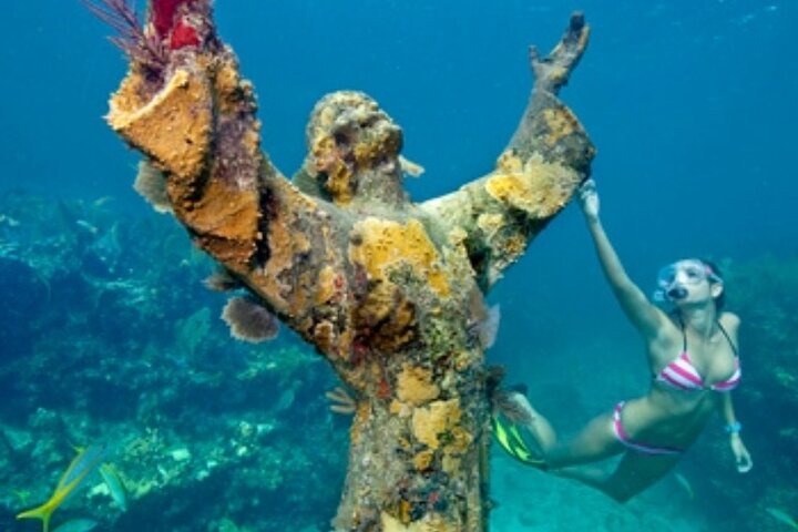Halbtägige private Tour zum Islamorada Alligator Reef und zur Sandbank