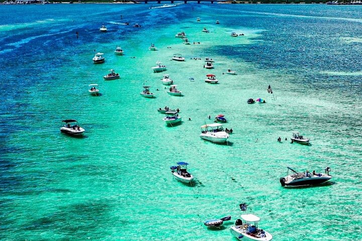 Halbtägige private Tour zum Islamorada Alligator Reef und zur Sandbank