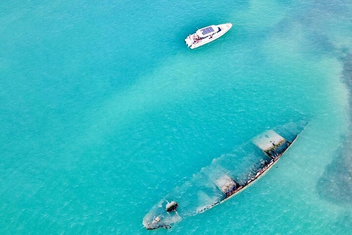 Halbtägige private Tour zum Islamorada Alligator Reef und zur Sandbank