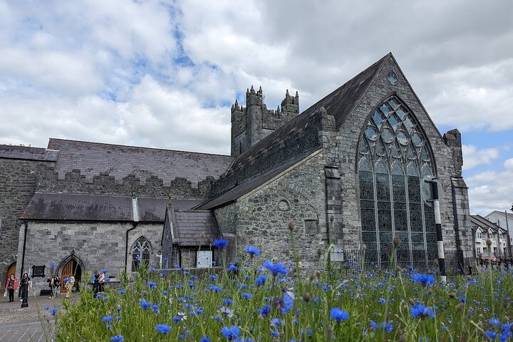 Tour a pie por Kilkenny con un guía local nacido en Kilkenny
