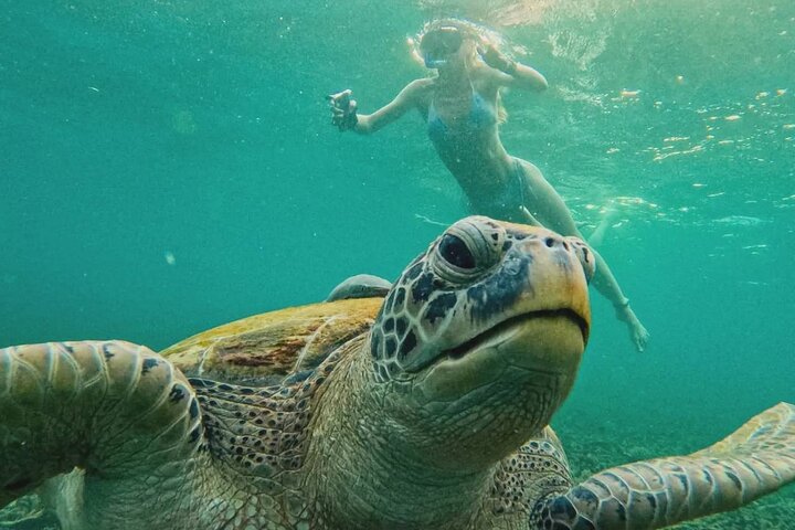 Ko Tao: Vintage båd - lille gruppe snorkling dagstur med måltider