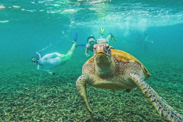 Ko Tao: Vintage båd - lille gruppe snorkling dagstur med måltider