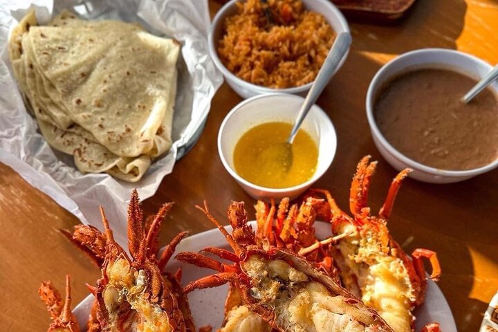 Taco Tour Tijuana/Rosarito/håndverksøl/Puerto Nuevo hummer