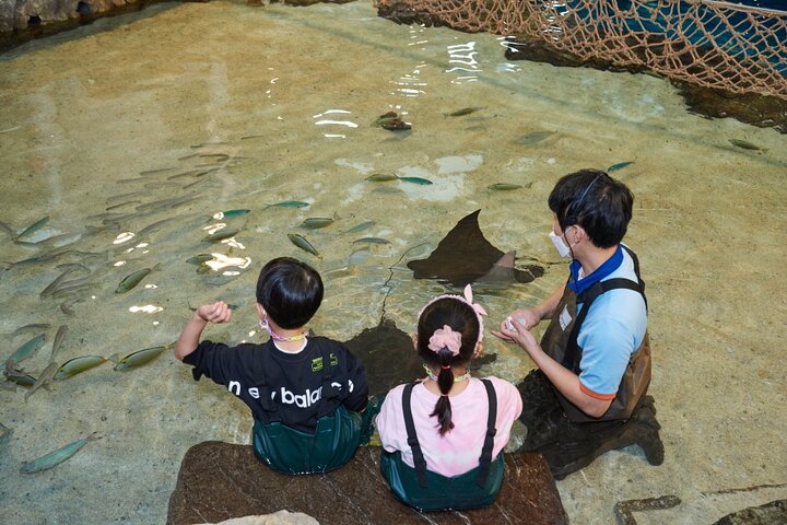 Ermäßigte Eintrittskarte für den Gwanggyo Aqua Planet (내국인 불가)