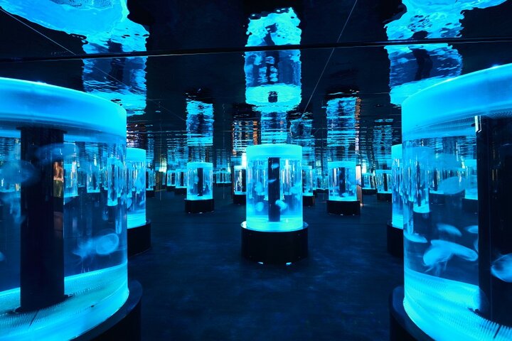 Ermäßigte Eintrittskarte für den Gwanggyo Aqua Planet (내국인 불가)