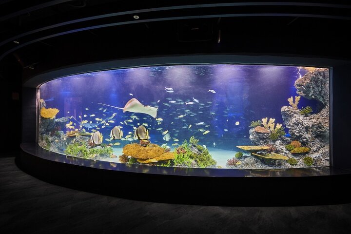 Ermäßigte Eintrittskarte für den Gwanggyo Aqua Planet (내국인 불가)