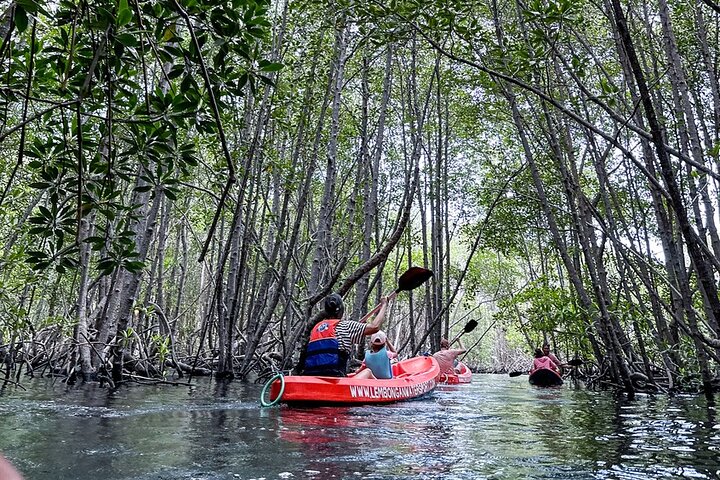 1 times mangrovetur fra Lembongan med kajak, padle eller båd