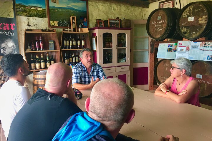 Premiata degustazione di vini di lusso presso la cantina Czar Pico