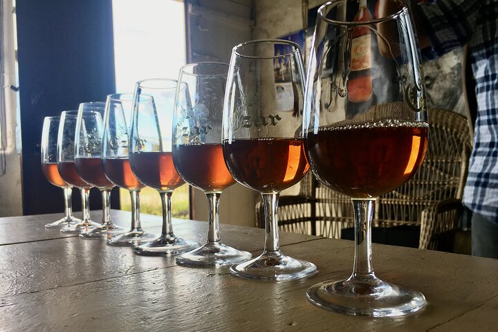 Premiata degustazione di vini di lusso presso la cantina Czar Pico