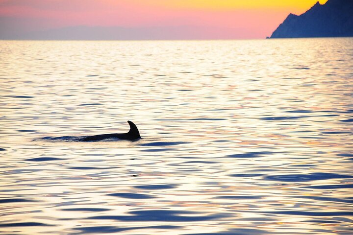Croisière au coucher du soleil Cinque Terre avec apéritif au départ de Monterosso