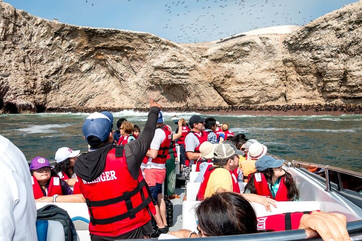 Ballestas-øyene fra Puerto San Martin
