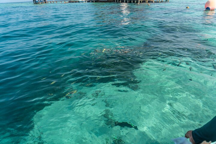 Top 3 Islands Tour Bora Bora, Pao Pao and Islabela With Lunch