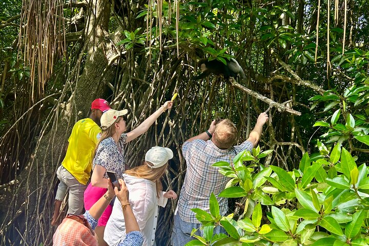 2 uur Bentota River Safari: krokodillen, apen, mangroves en meer