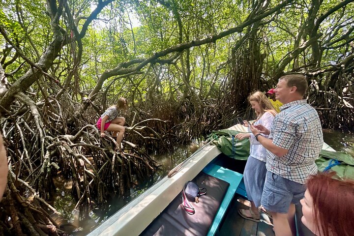 2 uur Bentota River Safari: krokodillen, apen, mangroves en meer